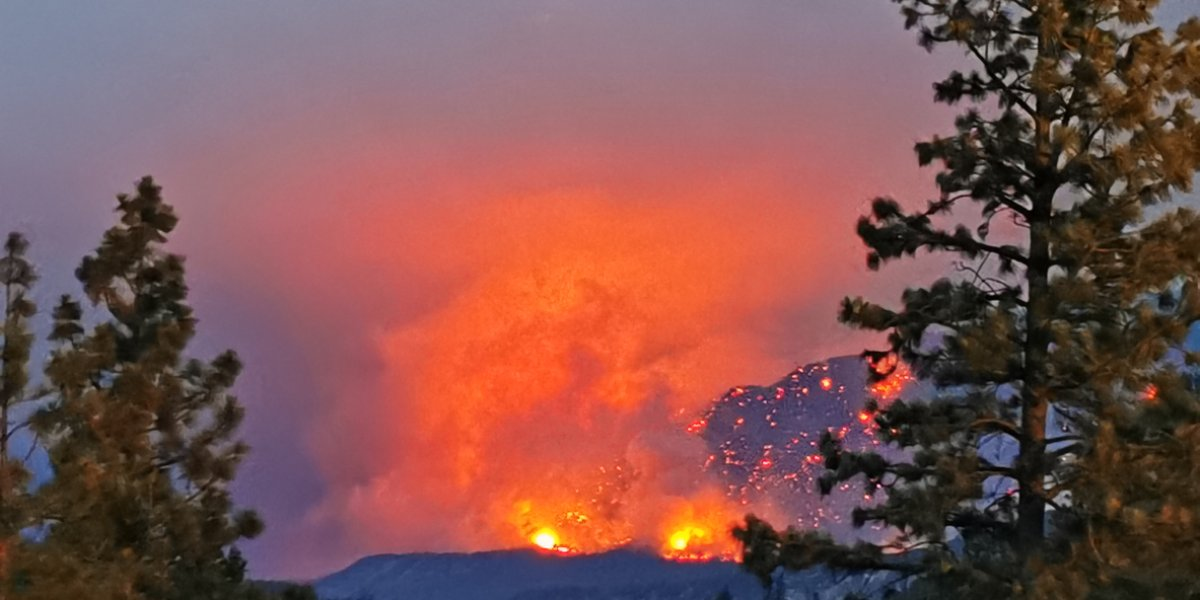 Image missing description