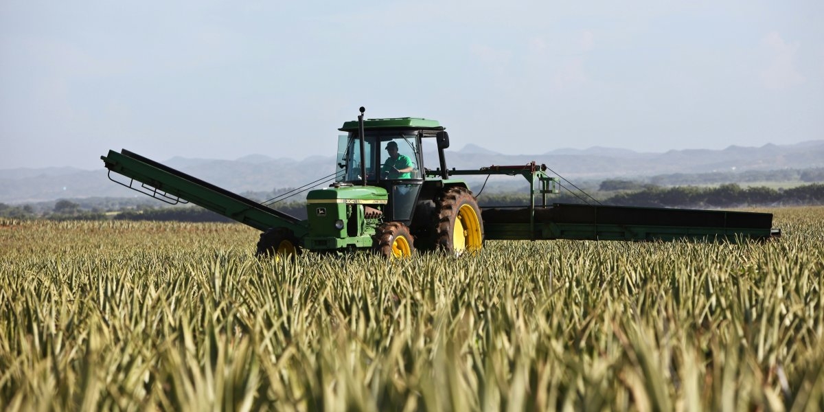 Image missing description