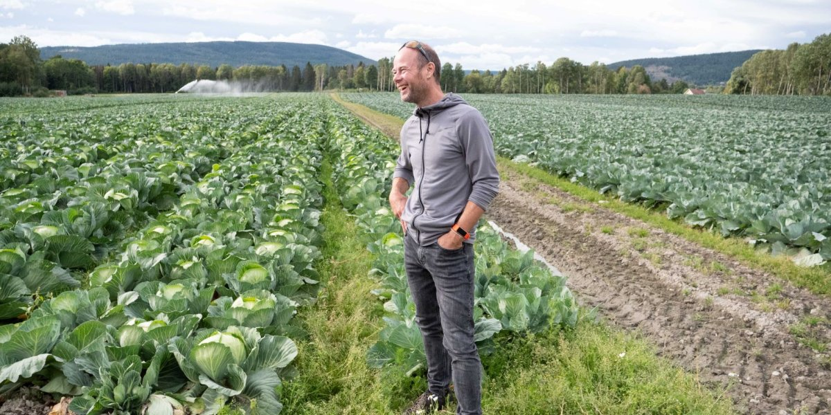 Mann på kålåker