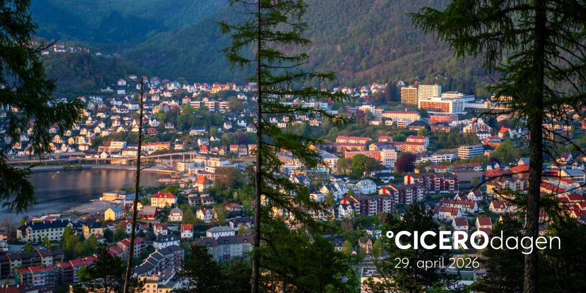 Bilde mangler beskrivelse