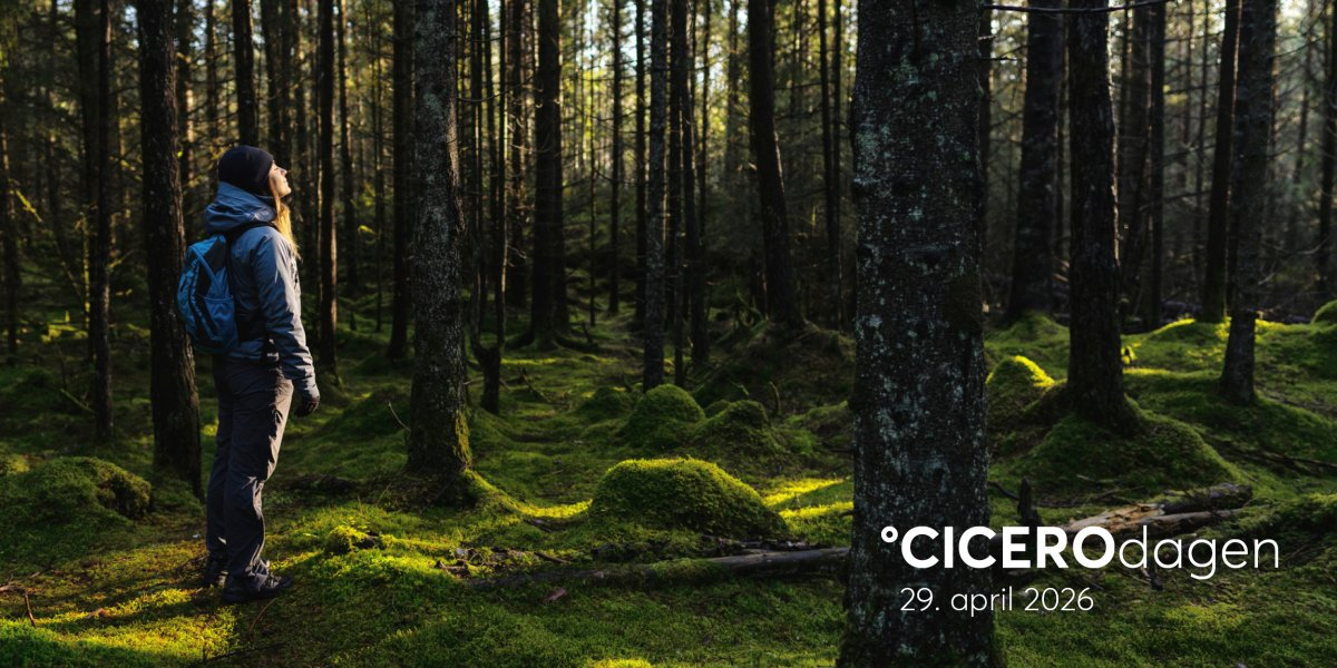 Bilde mangler beskrivelse