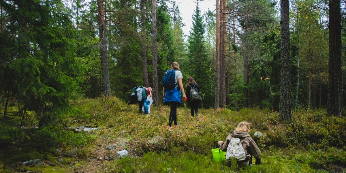 Bilde mangler beskrivelse