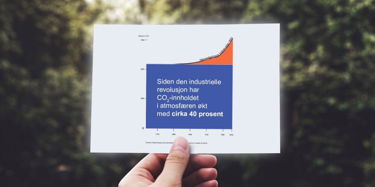 Bilde mangler beskrivelse