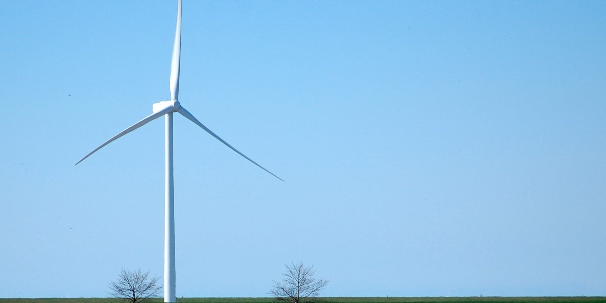 Bilde mangler beskrivelse