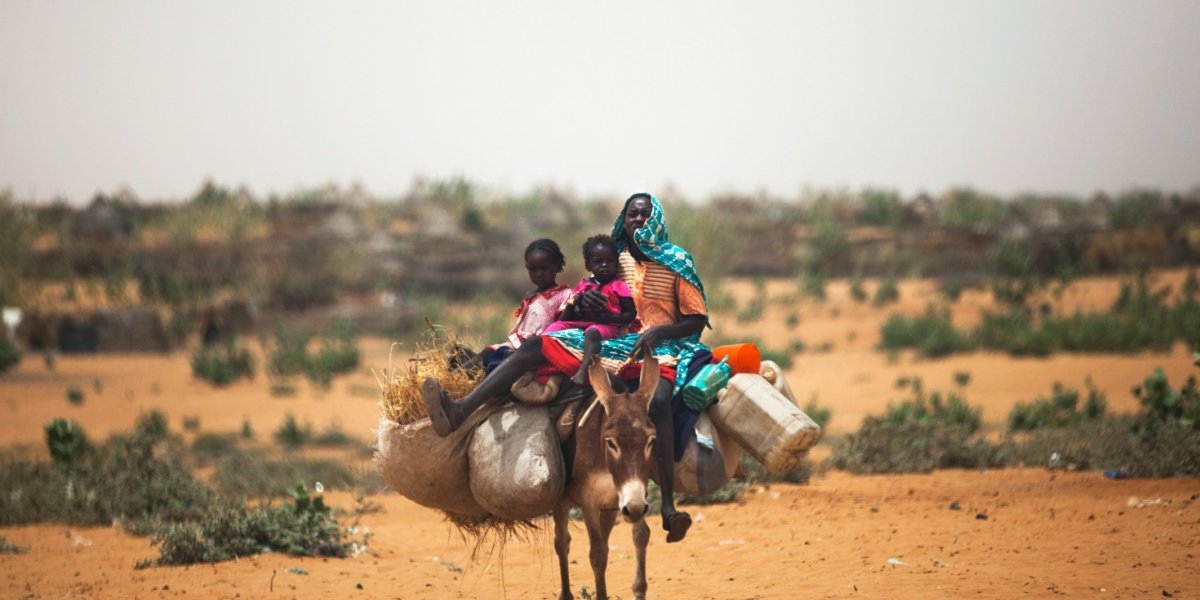 Bilde mangler beskrivelse