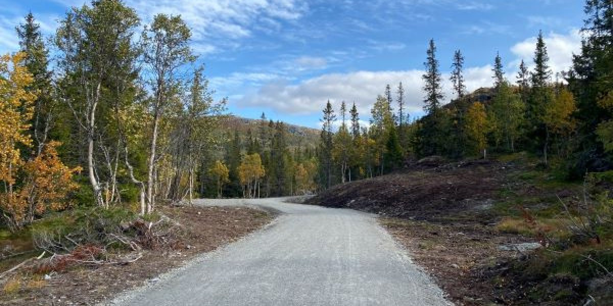 Bilde mangler beskrivelse