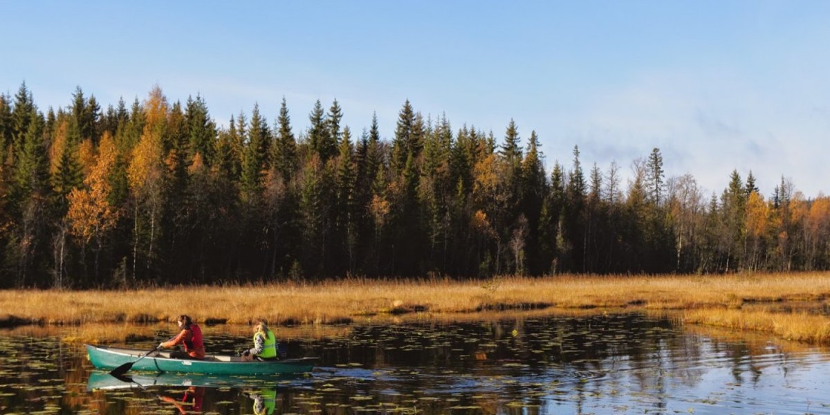 kanotur i myrlandskap