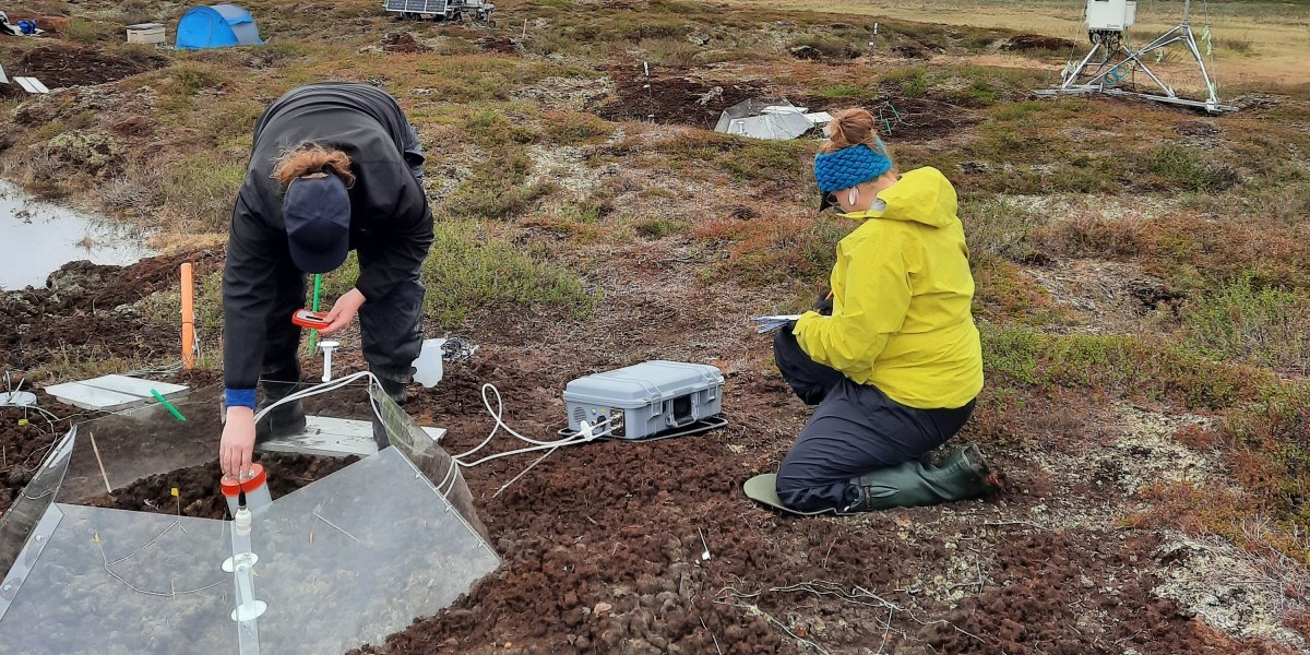 Bilde mangler beskrivelse