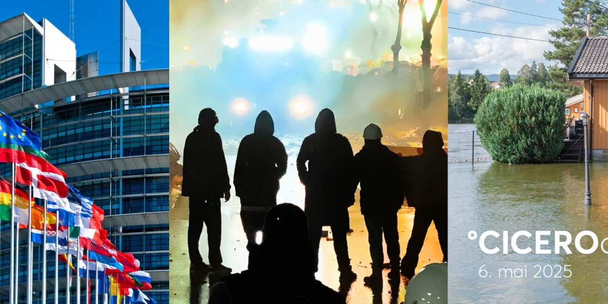 Bilde mangler beskrivelse