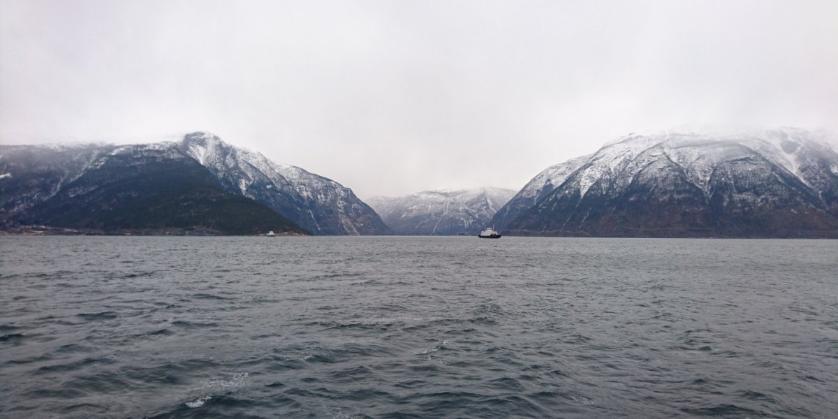 Ferge på fjord