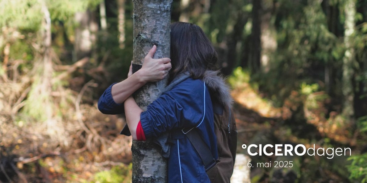 Bilde mangler beskrivelse