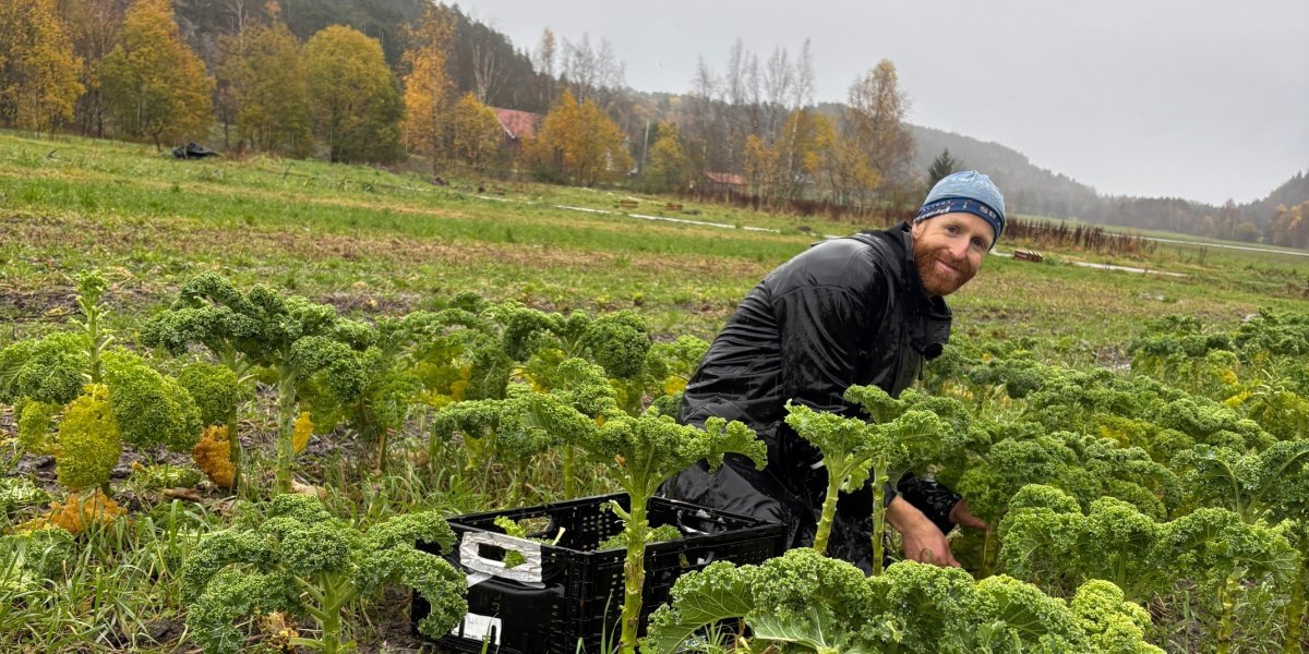 Bilde mangler beskrivelse