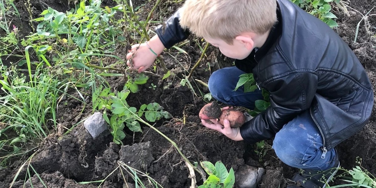 Bilde mangler beskrivelse