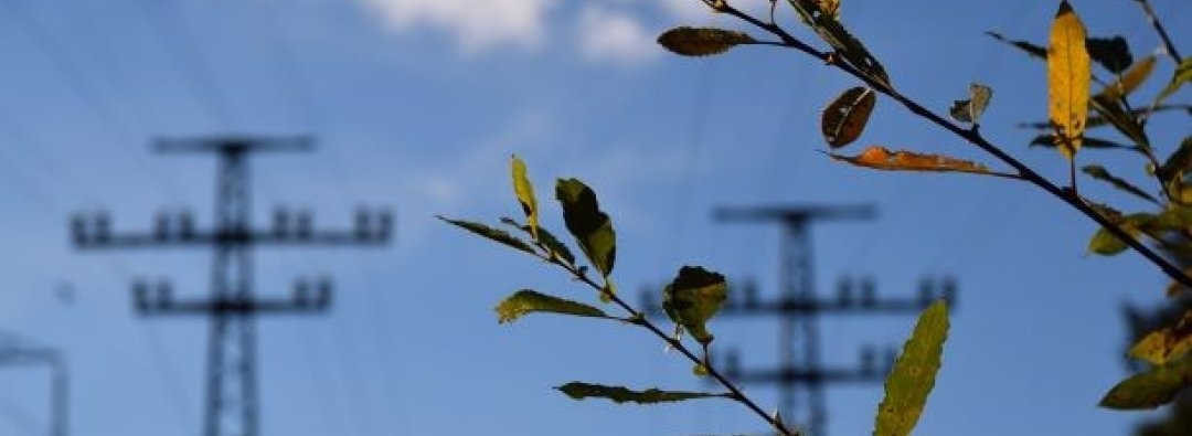 Bilde mangler beskrivelse