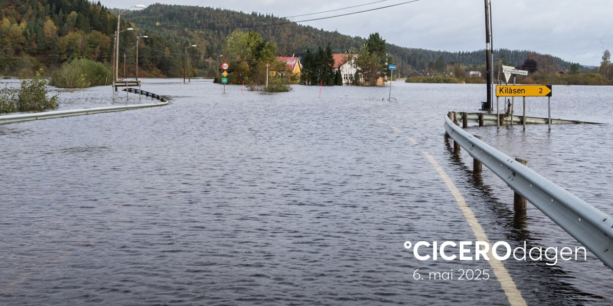 Bilde mangler beskrivelse