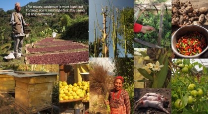 Collage av forskjellige matprodusenter i Nepal.