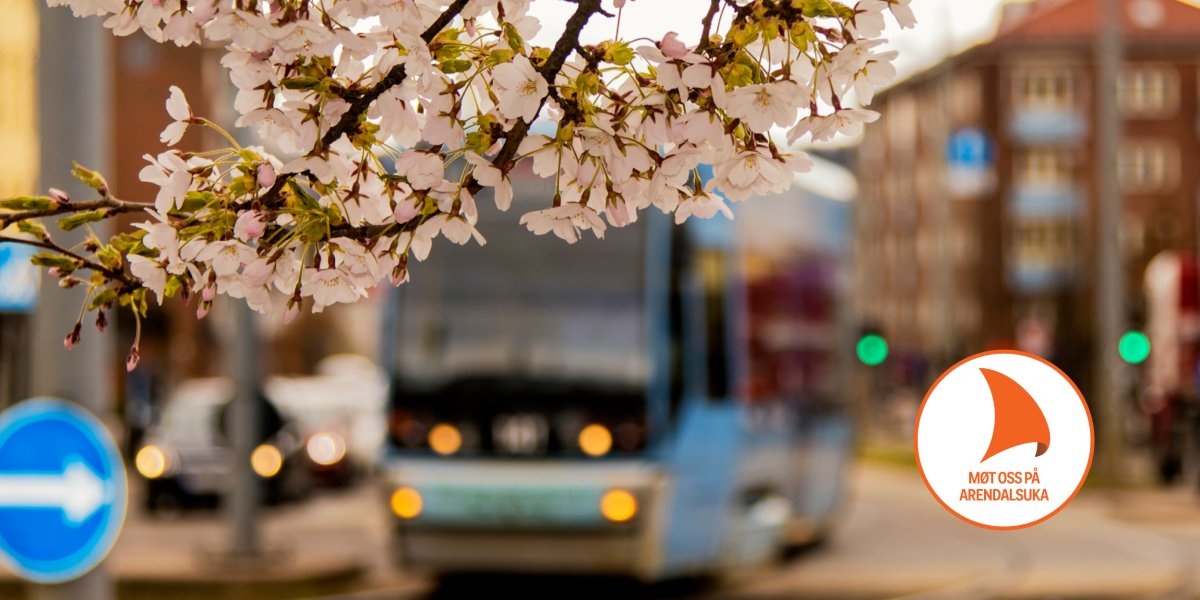 Bilde mangler beskrivelse