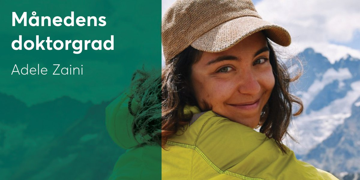 Månedens doktorgrad - Adele Zaini