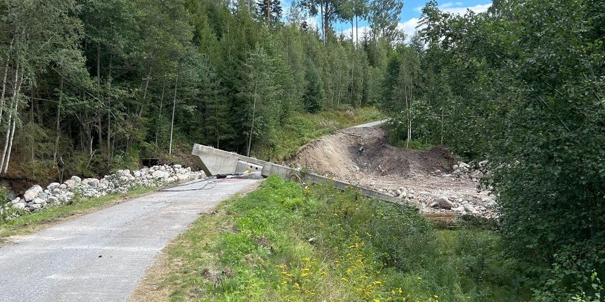 Bilde mangler beskrivelse