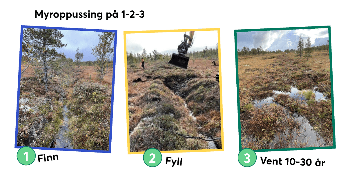 Bilde mangler beskrivelse