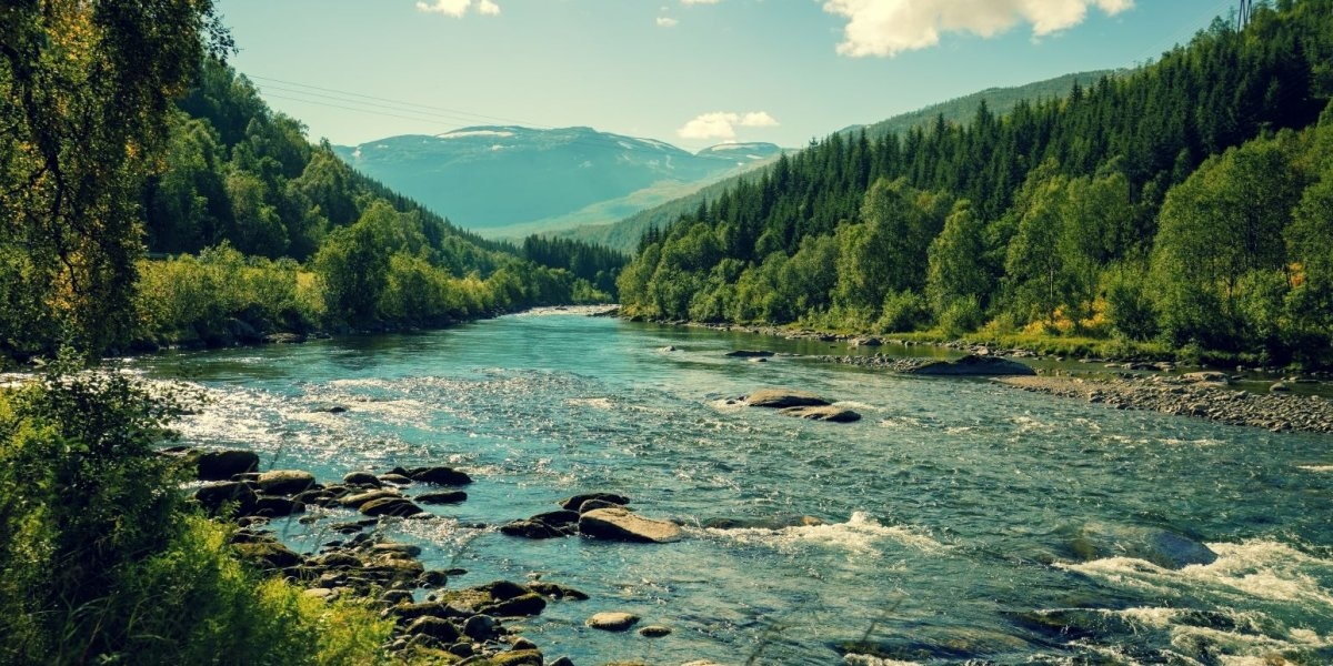 Bilde mangler beskrivelse