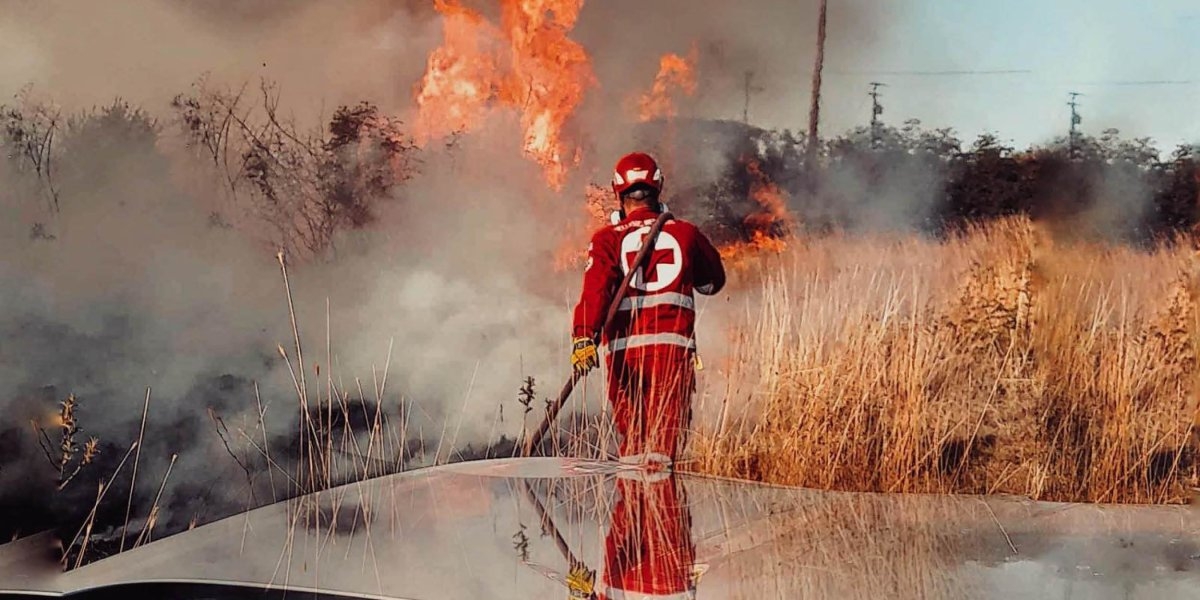 Bilde mangler beskrivelse