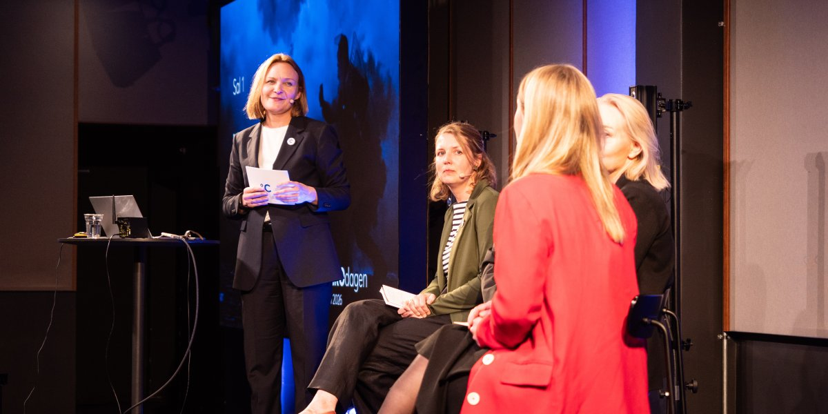 Bilde mangler beskrivelse