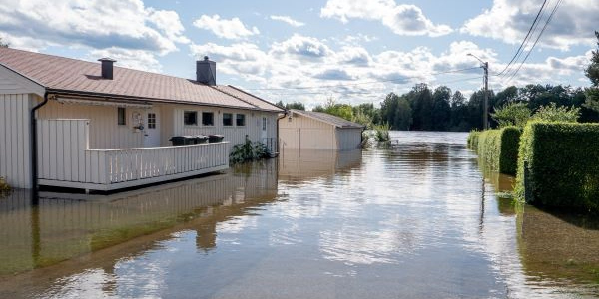 Bilde mangler beskrivelse