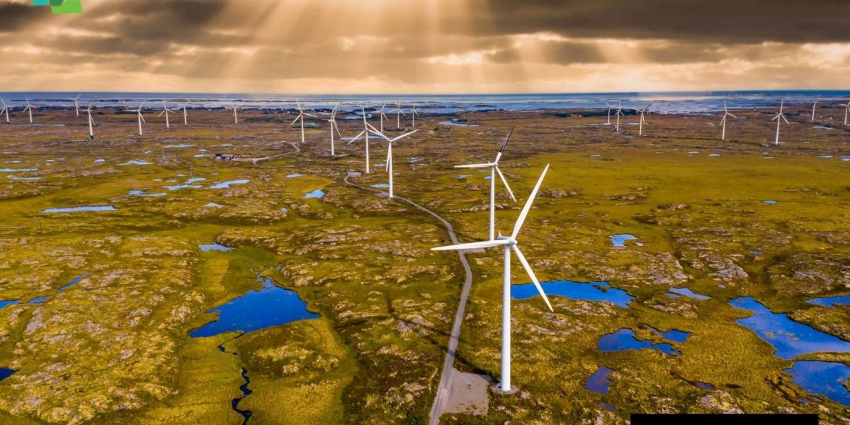 Bilde mangler beskrivelse